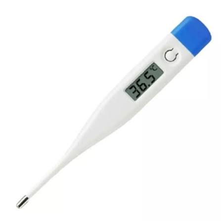 Thermometer Digital